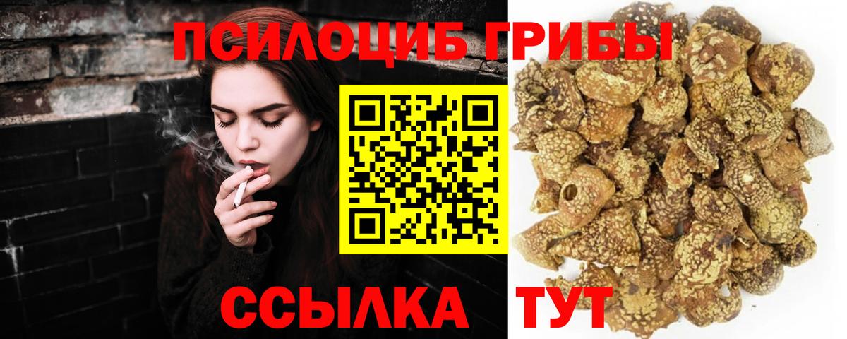 Псилоцибиновые грибы мицелий Острогожск