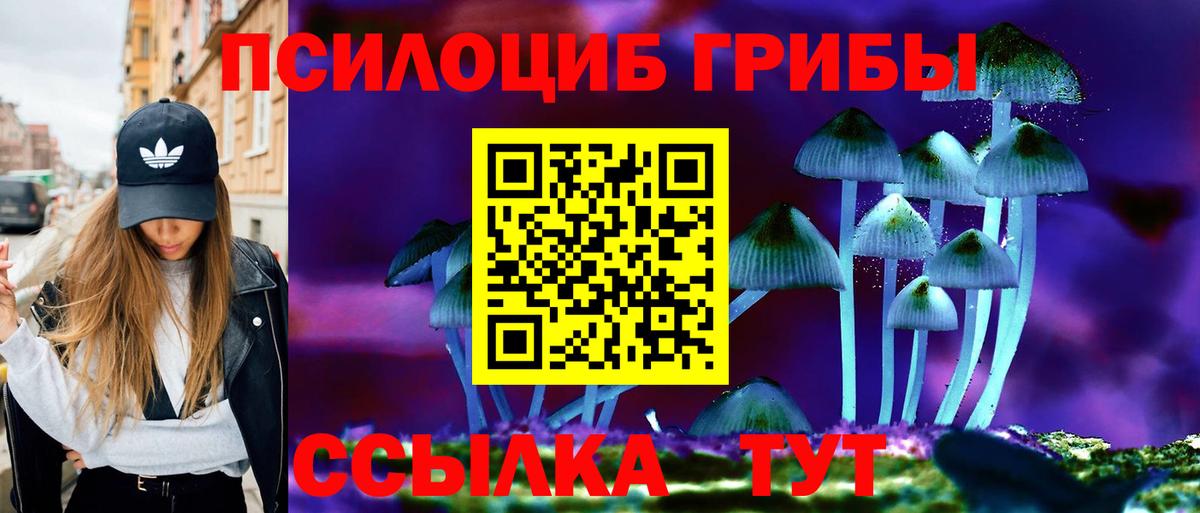 Псилоцибиновые грибы GOLDEN TEACHER  Вход с VPN  Острогожск 